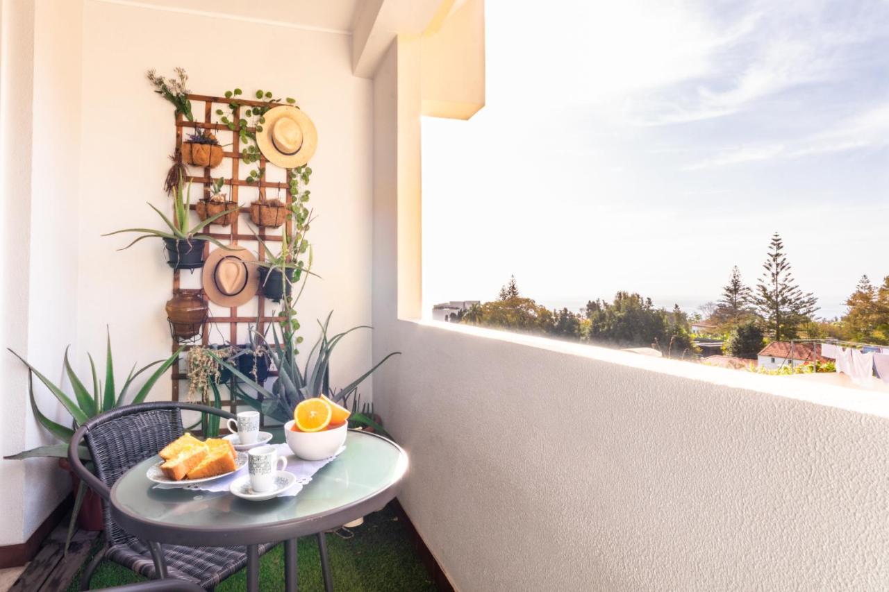 Maria Casa Branca By Alma Holiday Rentals Фуншал Экстерьер фото